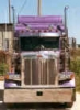 FLIPPERS WESTERN STAR 85" with Heritage Sleeper