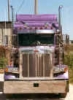 FLIPPERS PETERBILT 85" 48" / 63" Raised Roof Unibilt Sleeper 